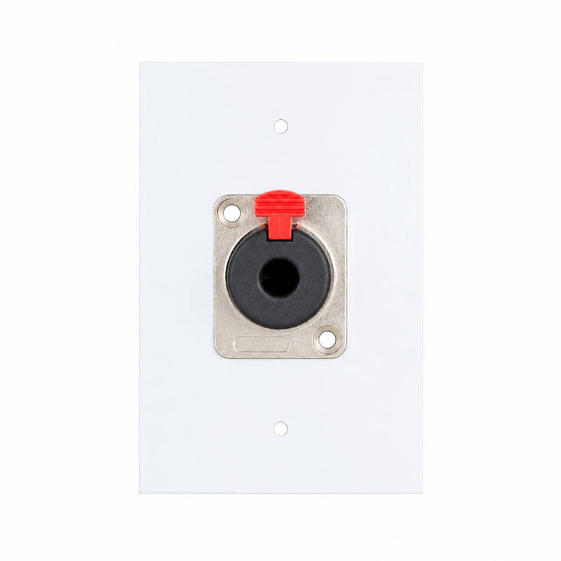 Espelho Metal 1 Furo 4x2 com Conector P10 Fêmea Branco